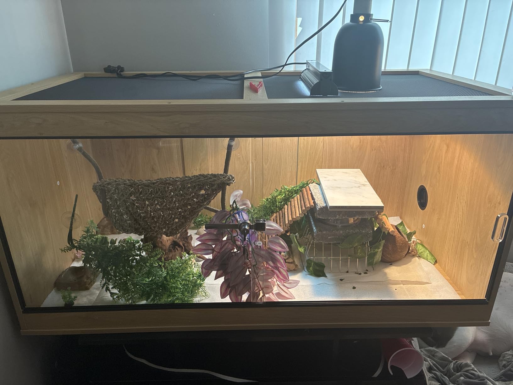 unipaws 110 Gallon Reptile Tank for Lizards, Bearded Dragon Enclosure Cage customer photo 2