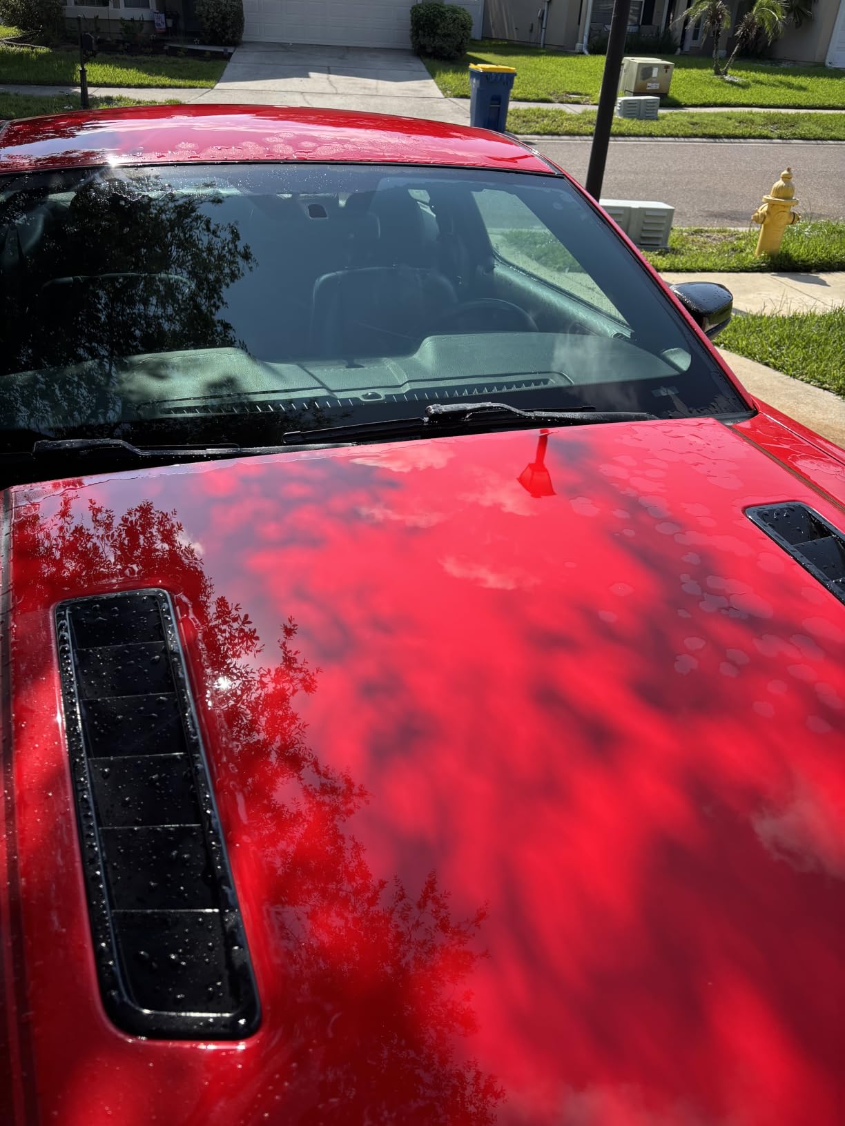 AvalonKing Armor Shield IX - DIY Ceramic Coating Kit for Cars - High Gloss, Hydrophobic & 2-Year Protection - Easy Home Application - Paint, Glass, Rims & Trim - 30ml customer photo 2