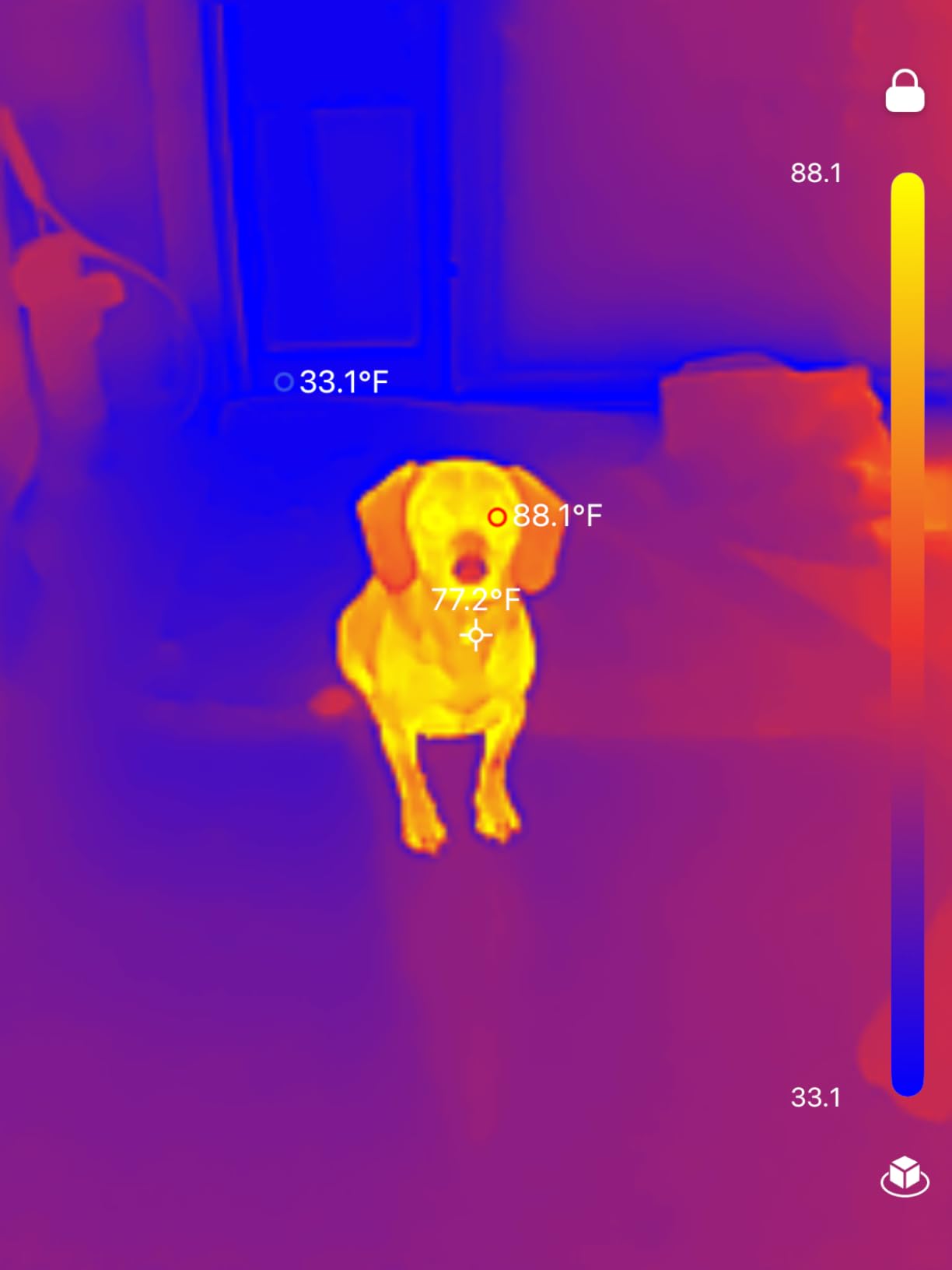 TOPDON TC002C Duo Thermal Imaging Camera for Any USB-C iPhone iPad Android | 512 x 384 Super Resolution, 256 x 192 IR Resolution Imager, 40mK NETD, -4°F~1022°F Temp Range, 25Hz Refresh Rate, Grey customer photo 2