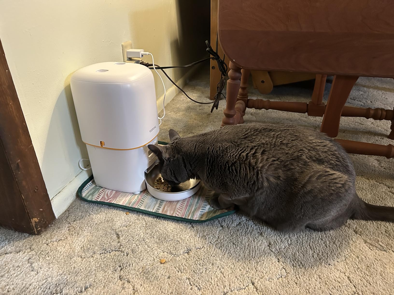 Automatic Cat Feeder, 3L Cat Food Dispenser with Anti-Jam Design, Over 180-day Battery Life, 1-6 Meals Per Day with Stainless Steel Cat Bowl, Keep Dry Food Fresh, Timed Pet Feeder Also for Small Dog customer photo 2