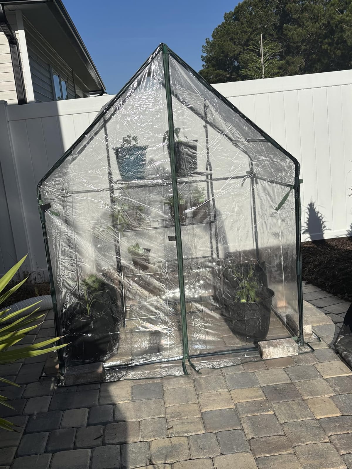 Gardzen Mini Greenhouse 71.7