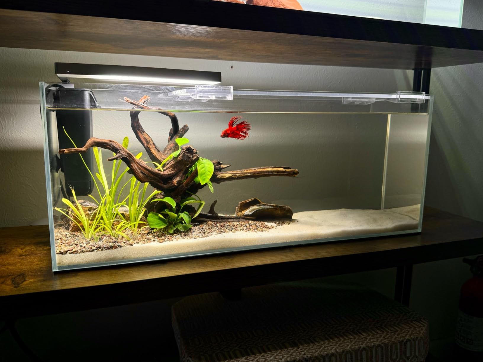 Aquatop 18 Gallon High Clarity Rimless Aquarium, Tall Bookshelf Style Glass Fish Tank, HCA-18G customer photo 1