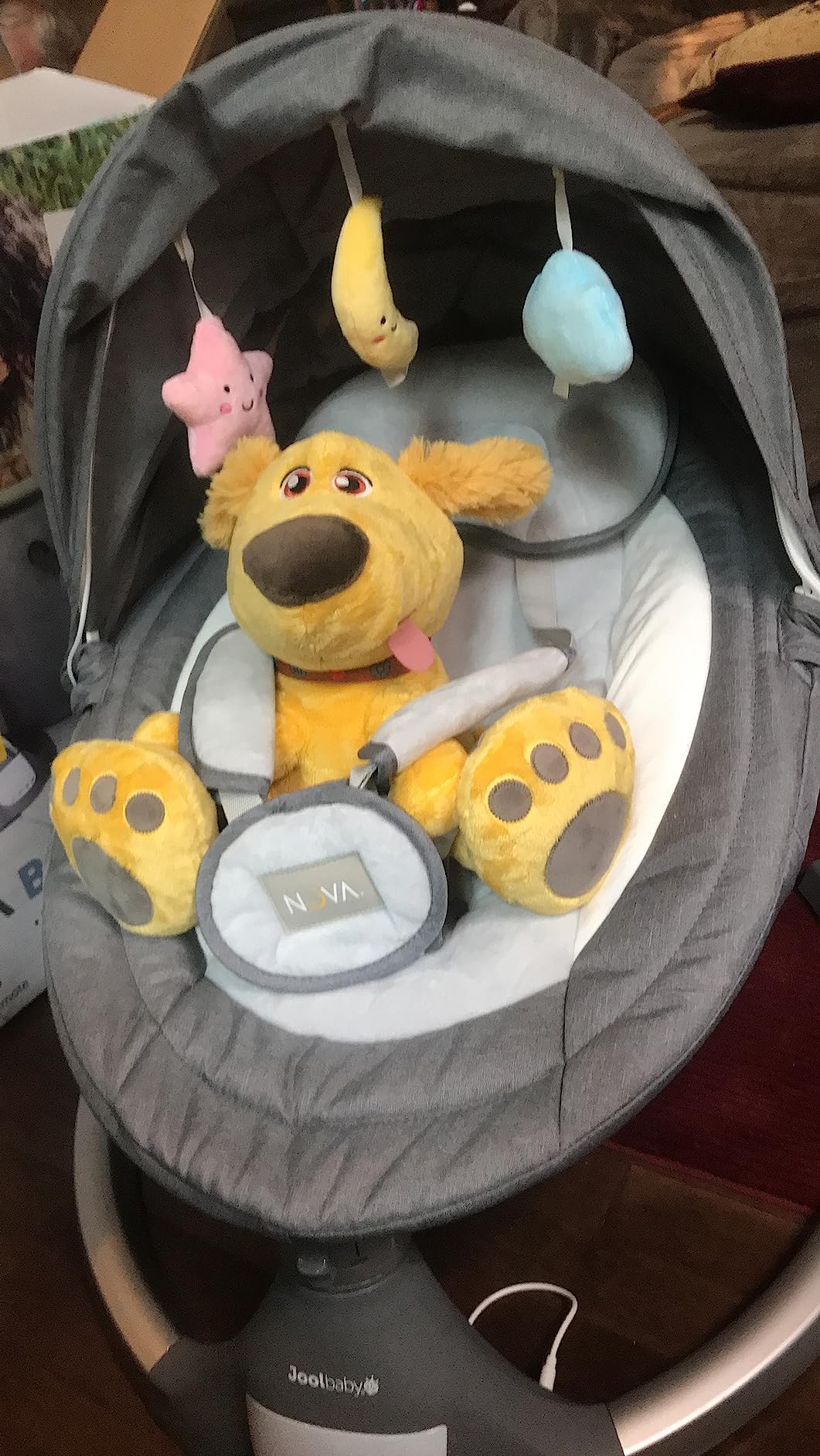 Jool Baby Nova Baby Swing for Infants - Bluetooth Music, Remote (Sage) customer photo 2