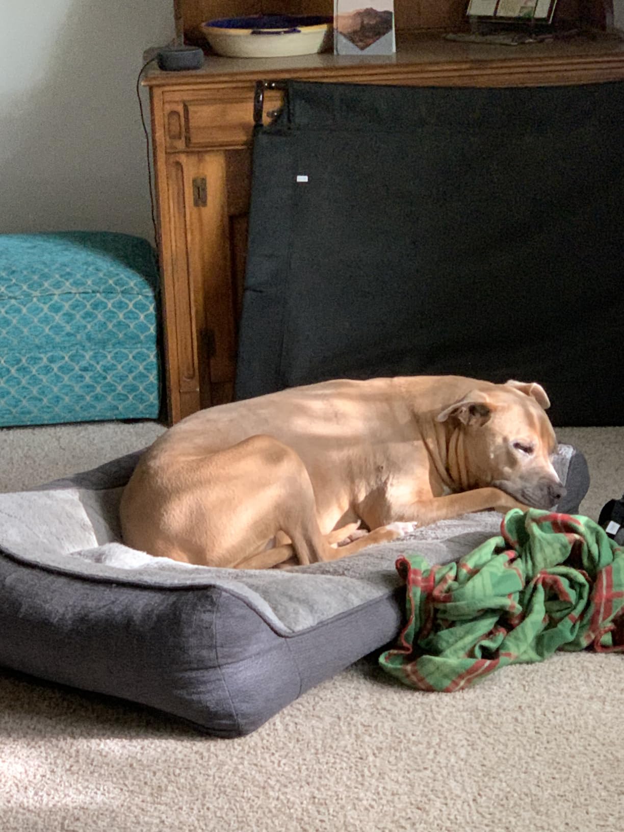 Bedsure SupportMax™ Extra Thick Orthopedic XL Dog Bed for Extra Large Dogs | 45