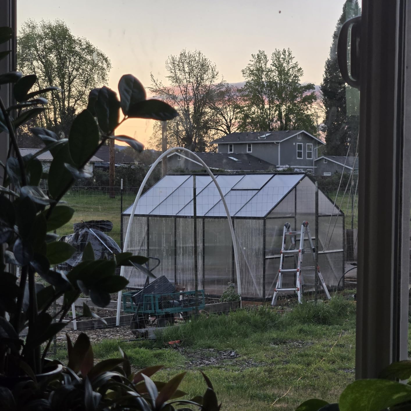 12x12 FT T-Shape Greenhouses, Polycarbonate Green House with UV Protection customer photo 2