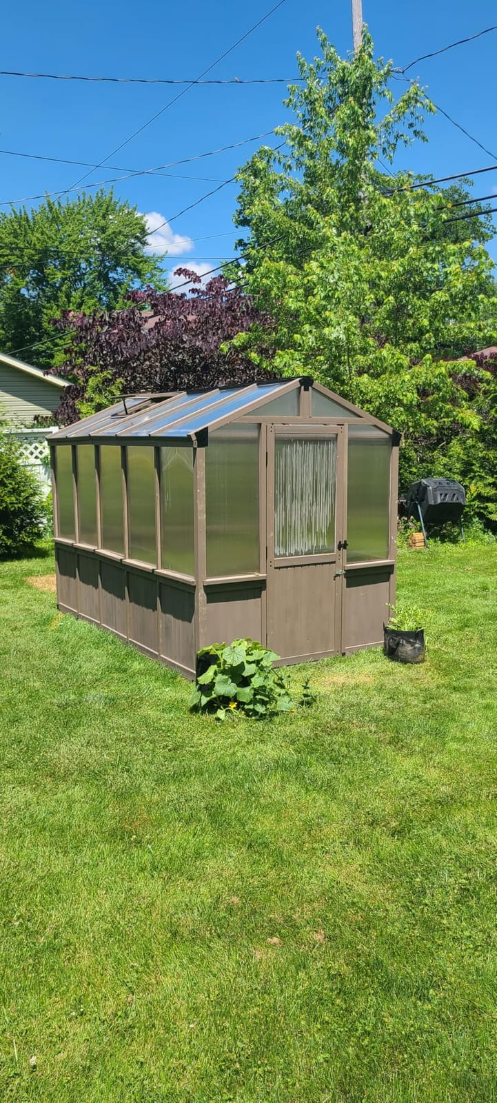 Aoxun 6x12 FT Wooden Greenhouse for Outdoors, 6MM Thick Polycarbonate Panel Walk-in Green House Kit with Adjustable Roof Vent and Lockable Door customer photo 1