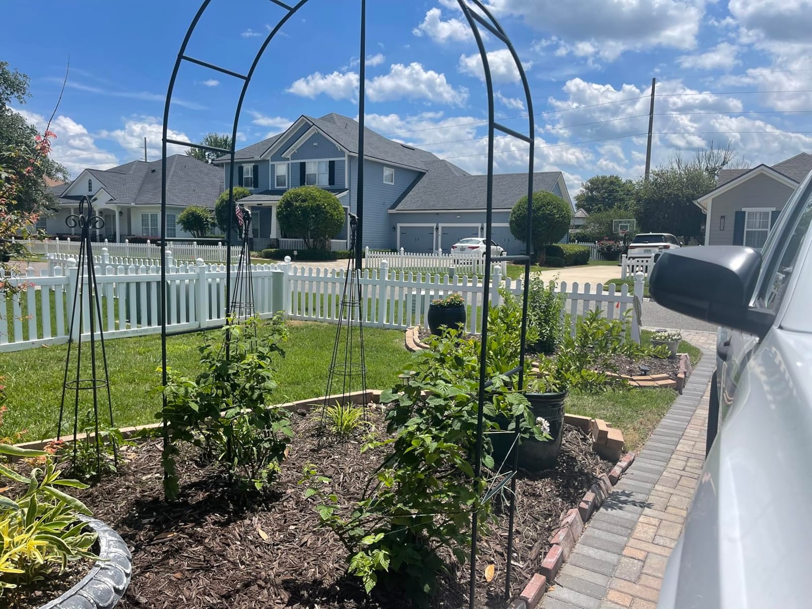Thickened Rustproof Garden Arch Metal Trellis for Climbing Plants | Outdoor Wedding Arch Garden Arbor Frame Archway 4.9 x8.1 or 7.9 x6.7Ft Flower Arches for Bridal Xmas Party Decoration (Black) customer photo 2