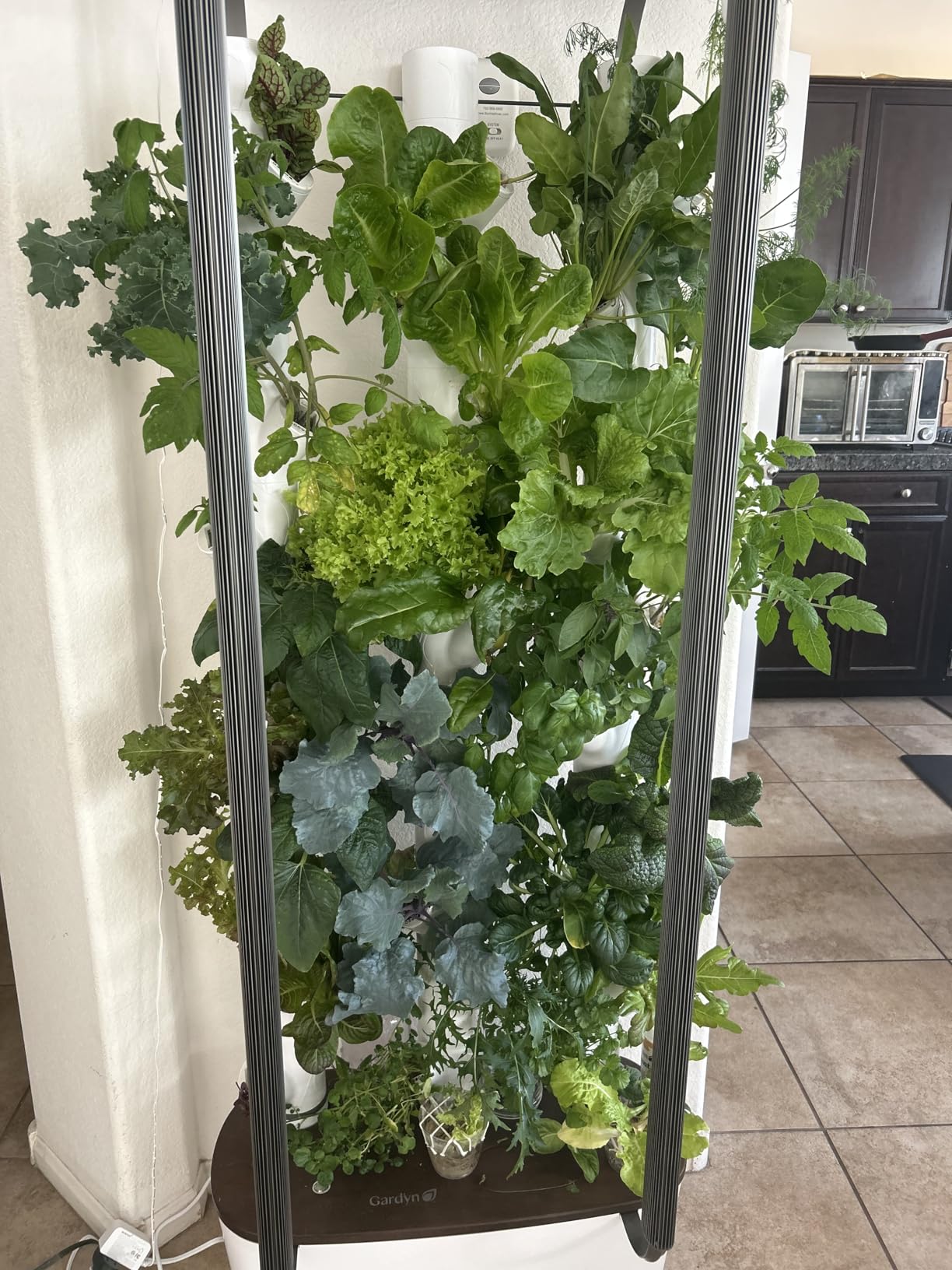 Gardyn Home 4 Vertical Hydroponics Growing System Kit - 30 Plants | AI-Powered Smart Garden with LED Grow Lights. Grow pesticide-free, non-GMO greens & veggies at home-safe, recall-free customer photo 1