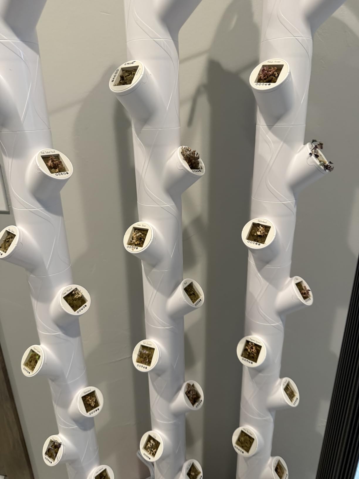 Gardyn Home 4 Vertical Hydroponics Growing System Kit - 30 Plants | AI-Powered Smart Garden with LED Grow Lights. Grow pesticide-free, non-GMO greens & veggies at home-safe, recall-free customer photo 2