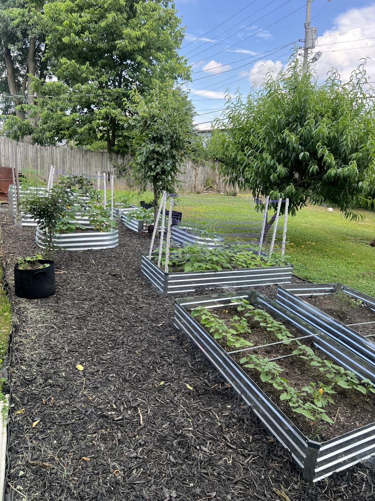 Land Guard 3 Pack 8×4×1ft Galvanized Metal Raised Garden Bed, Metal Planter Kit Box Outdoor for Deep-Rooted Vegetables, Flowers, Green and Herbs, Silver customer photo 2