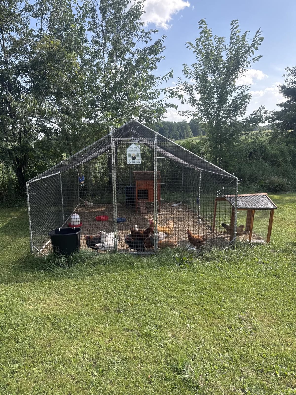 CAMMOO Metal Chicken Coop, 13.1x9.8x6.6ft Chicken Run for Yard with Cover | Upgrade Double Lock & Mesh, Stainless Steel Ties, Easy Assembly, Chicken Pen for Ducks, Rabbits customer photo 1