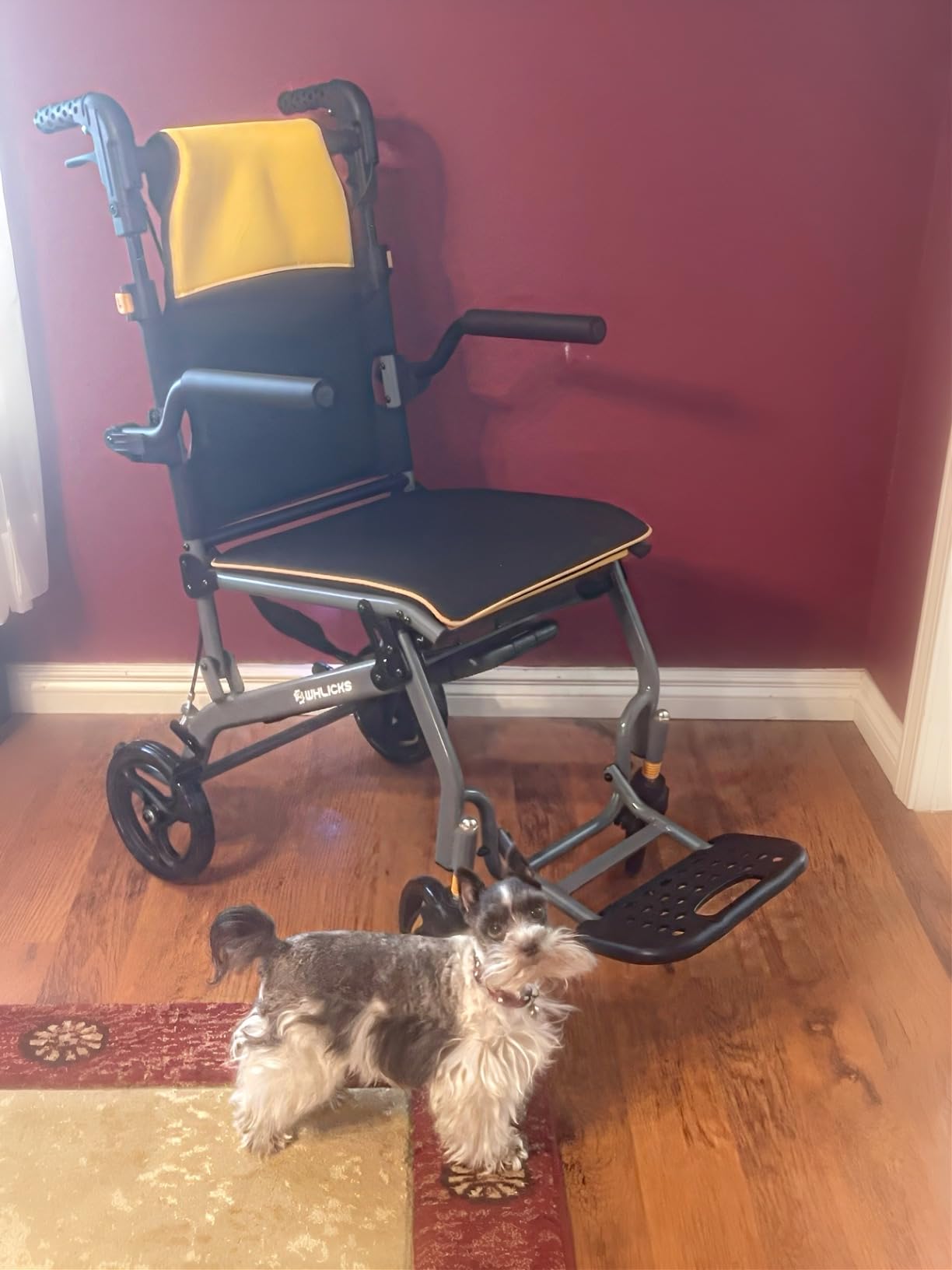 Wheelchairs for Adults Ergonomic Transport Chair Lightweight Foldable with 12-inch Big Wheels for All Terrains Travel Wheelchair with Removable Cushion customer photo 1