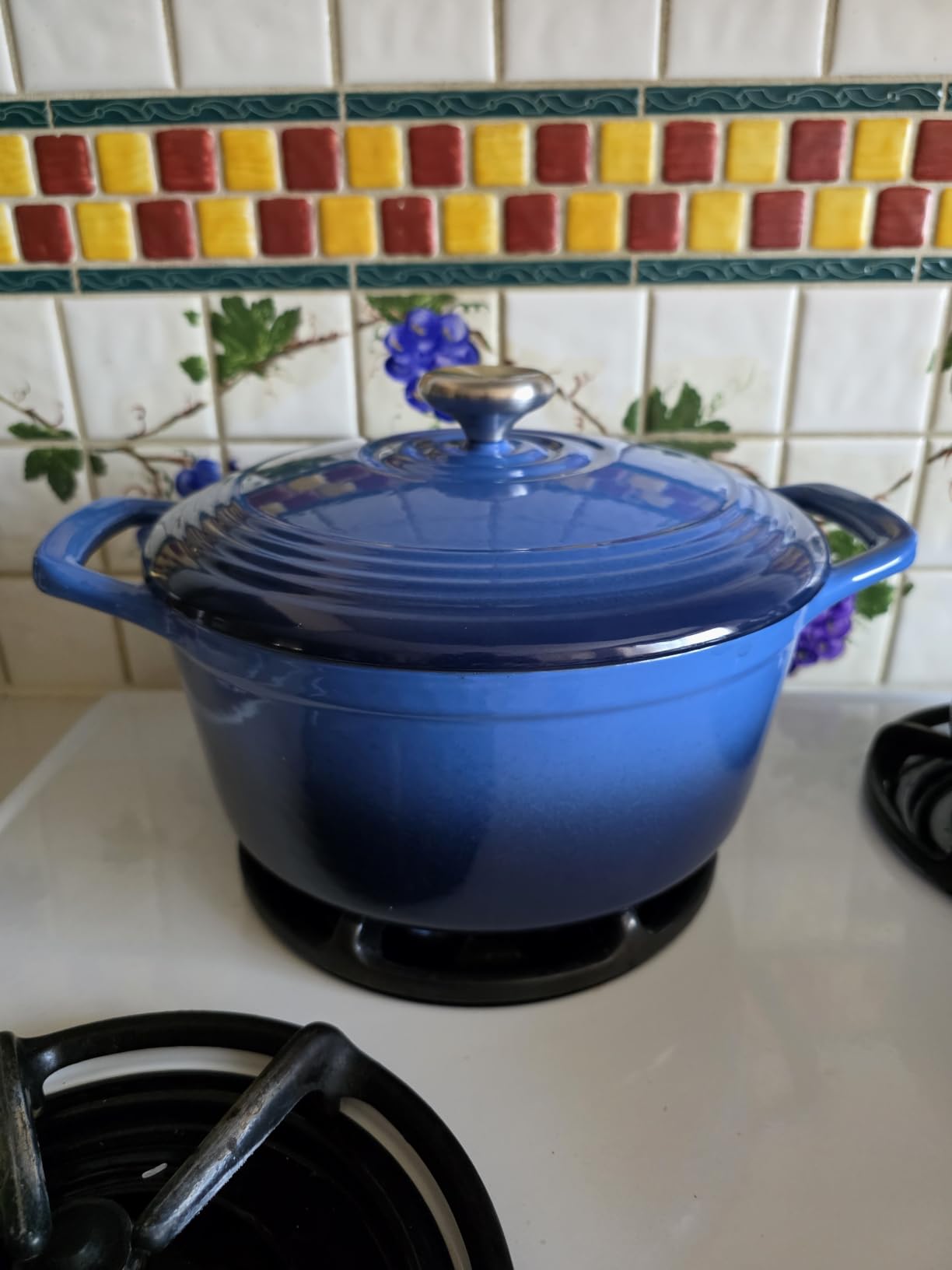 Overmont Enameled Cast Iron Dutch Oven - 5.5QT Pot with Lid, Cookbook & Cotton Potholders, Bottle Green customer photo 1