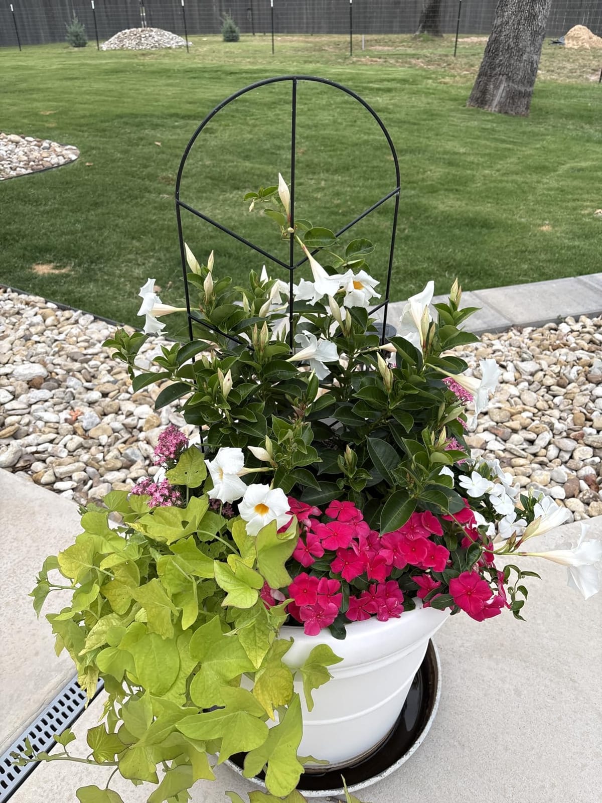 2 Pack 30'' Large Metal Plant Trellis for Climbing Plants, Tall Plant Support for Indoor & Outdoor Use, Modern Decorative Trellis for Potted Plants customer photo 2