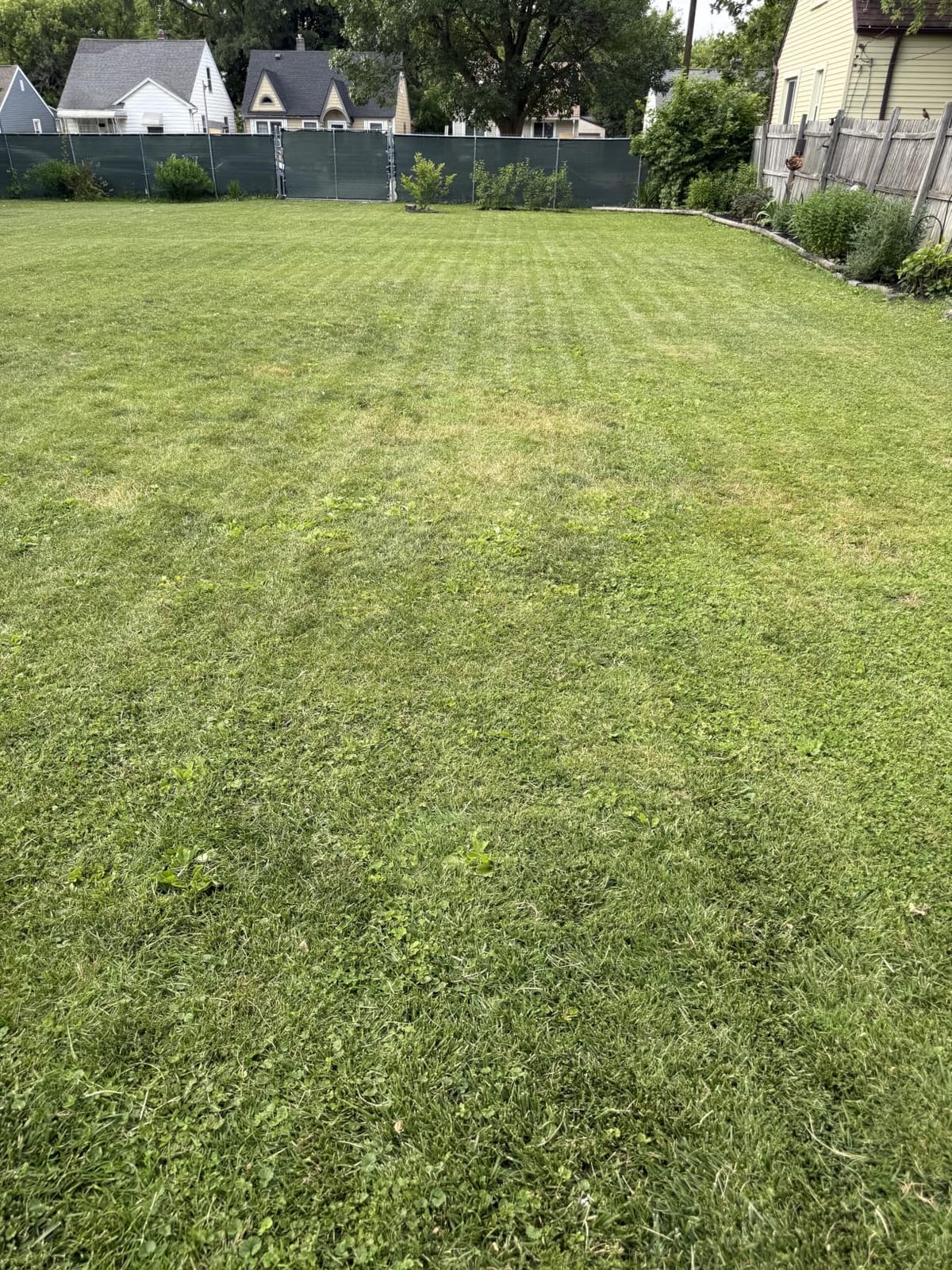 ECOVACS Goat A3000 LiDAR PRO Robotic Lawn Mower, Dual LiDAR Navigation, For Lawns Up to 3/4 Acre, Fast Charging, High-Efficiency Mowing up to 400 m2/h, Built-in TruEdge Edge Trimmer, App Control customer photo 2