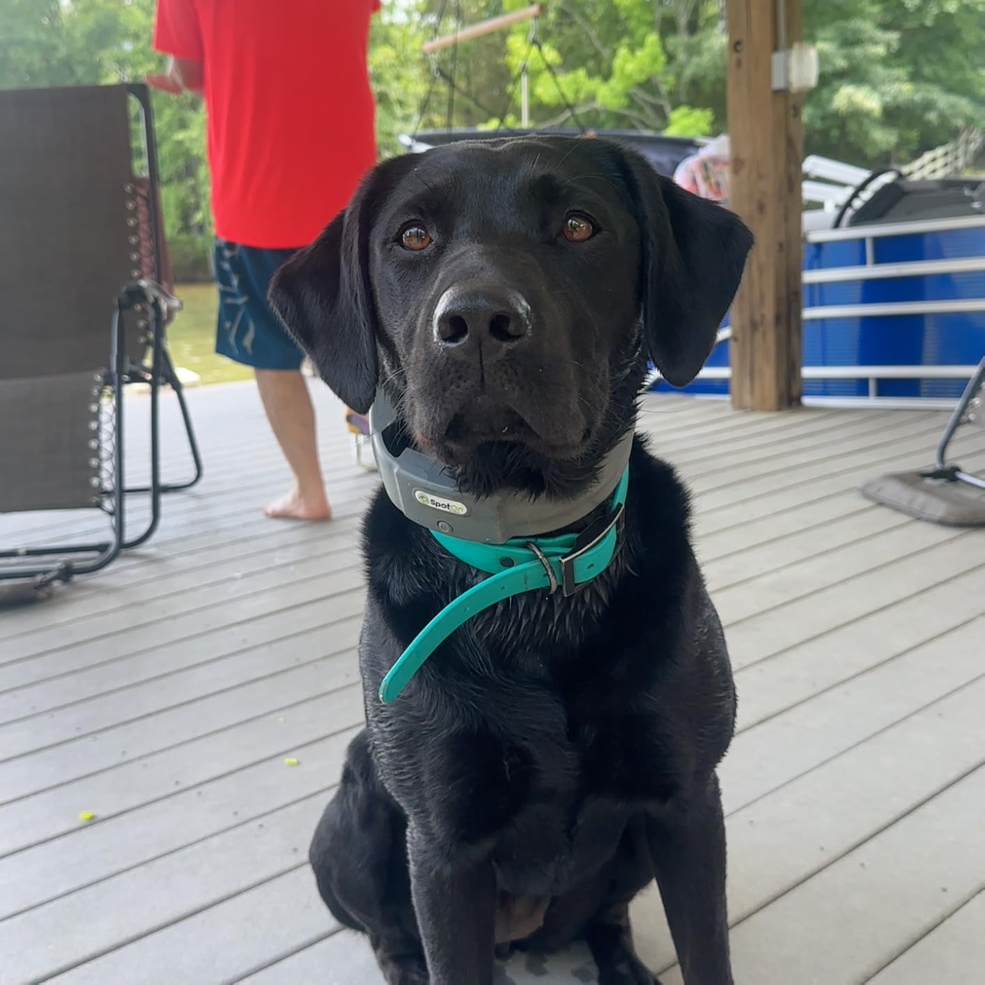 SpotOn Nova GPS Dog Fence Collar, App-Controlled Wireless Fence | Wireless GPS dog fence collar with no subscription required for unlimited fences, any shape, any size, anywhere customer photo 1