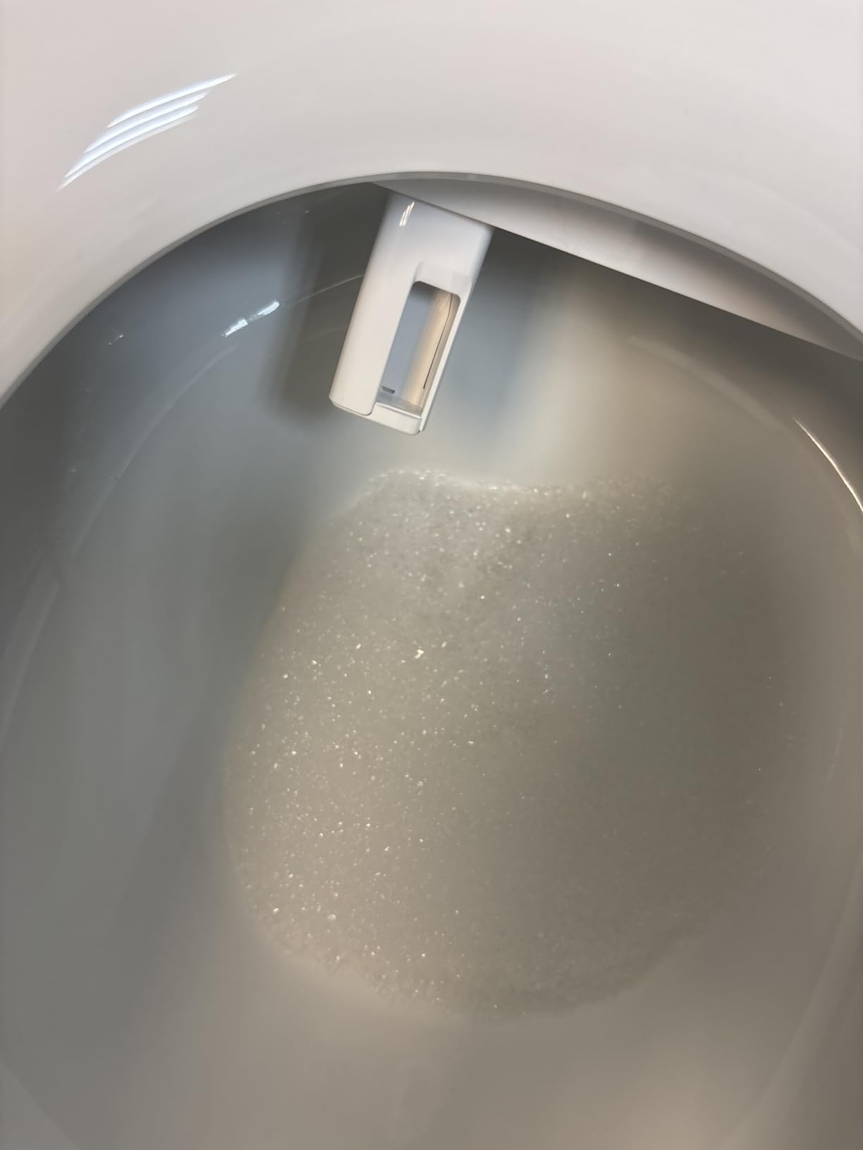 HOROW X70 Smart Toilet with Bidet Built In, Foam Shield, Mobile Drying customer photo 1