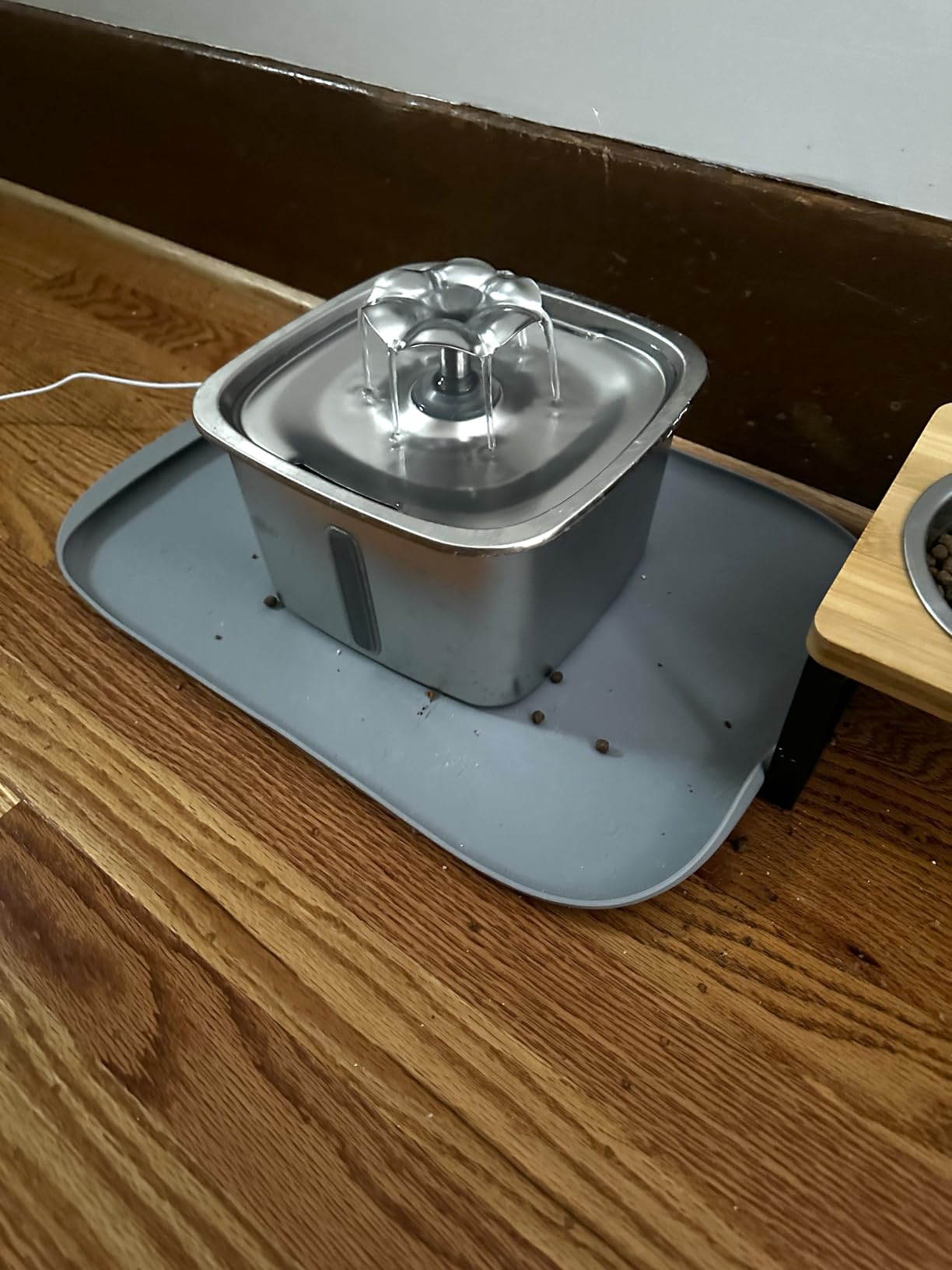 PETLIBRO Automatic Wet Food Cat Feeder 2026 New Version with Semiconductor Cooling, Refrigerated 3 Fresh Meals in 3 Days, App-Controlled Pet Food Dispenser, Stainless Steel Bowl, Easy to Clean customer photo 2