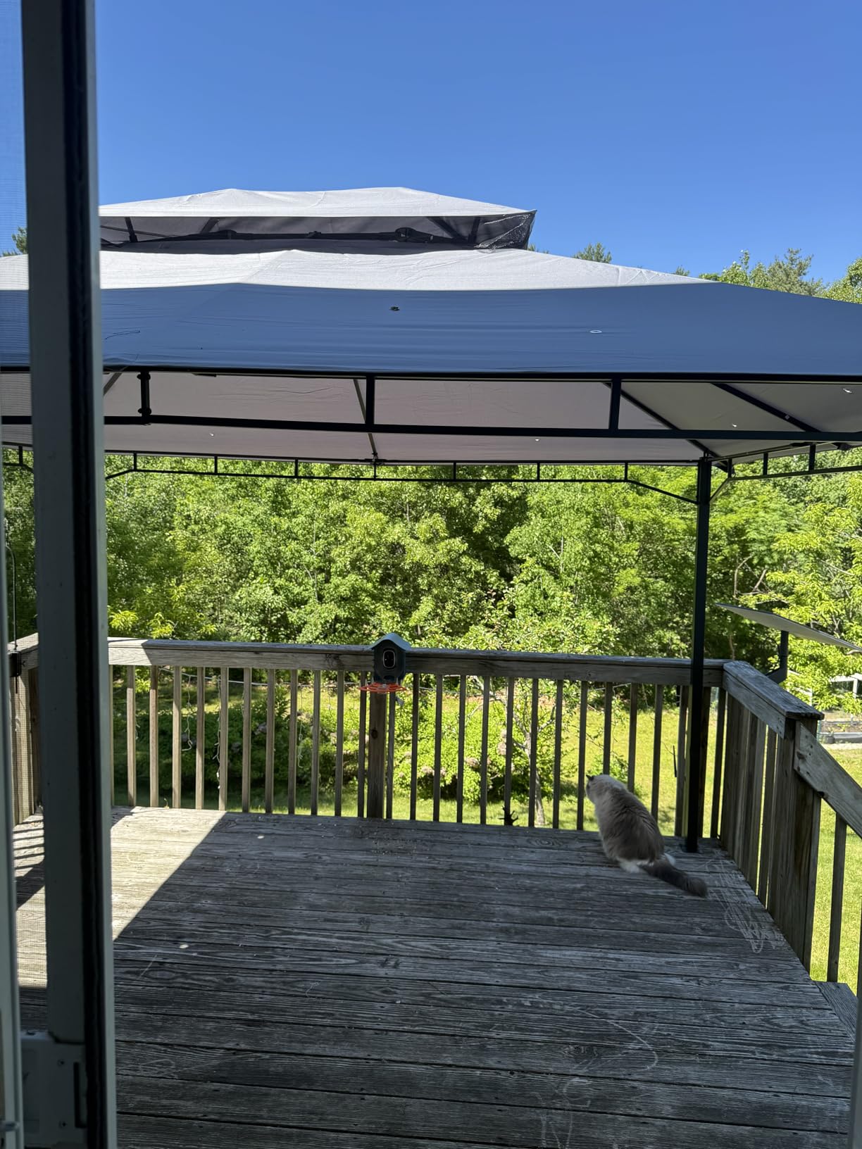 Aoxun 12x10 Outdoor Gazebo with Mosquito Netting & Double Roof, Gray | Metal Frame Heavy-Duty Party Tent, Patio Canopy Tent Shelter with Zipper Screens for Backyard, Deck, Porch customer photo 1