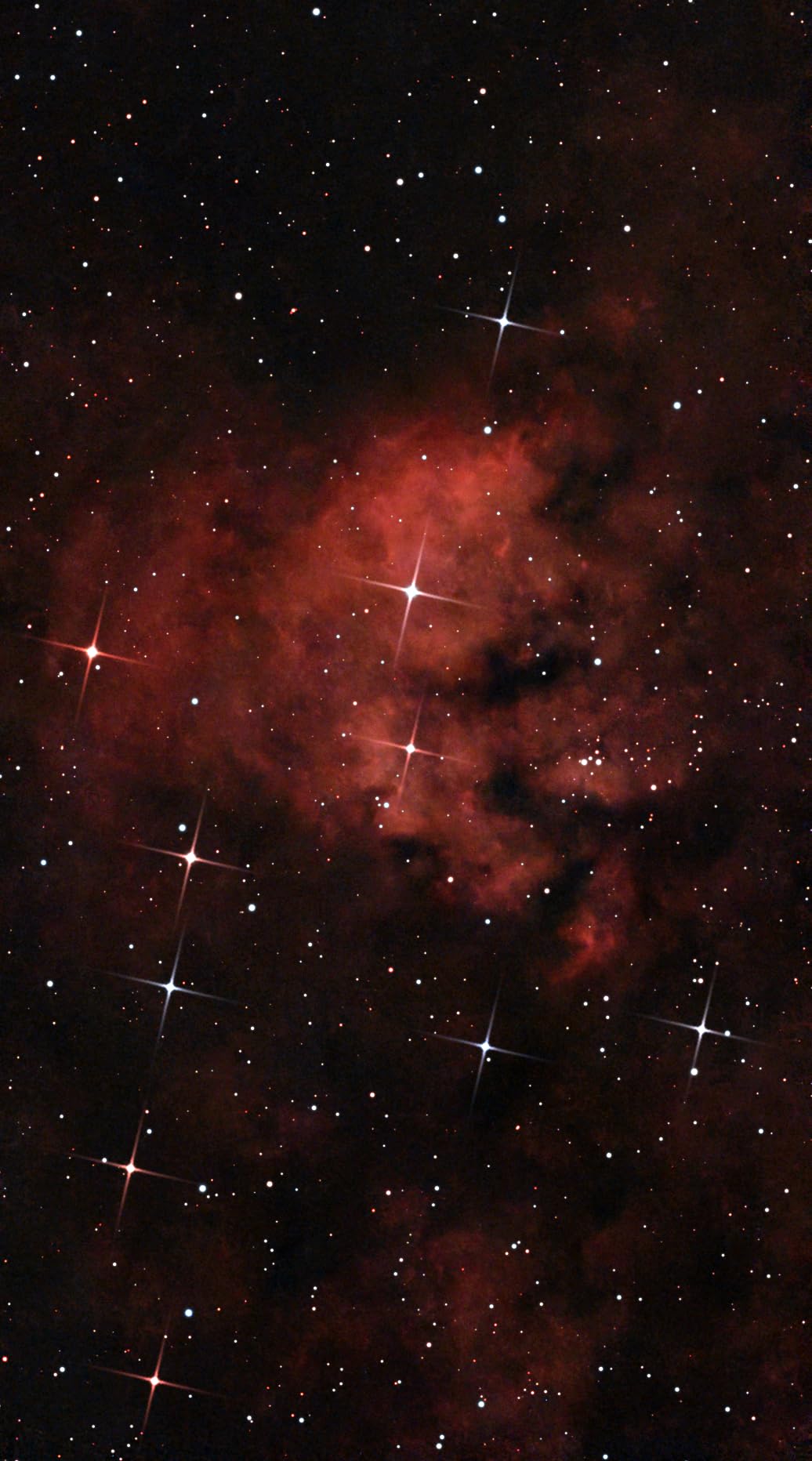 DWARFLAB Dwarf Mini Smart Telescope - 1.85lb Portable Astronomy Telescope | App Control, Auto GOTO, AZ/EQ Modes, 90-Second Exposure, Light Pollution Filter, 360° Pivot Freedom, Built-in Processing customer photo 1