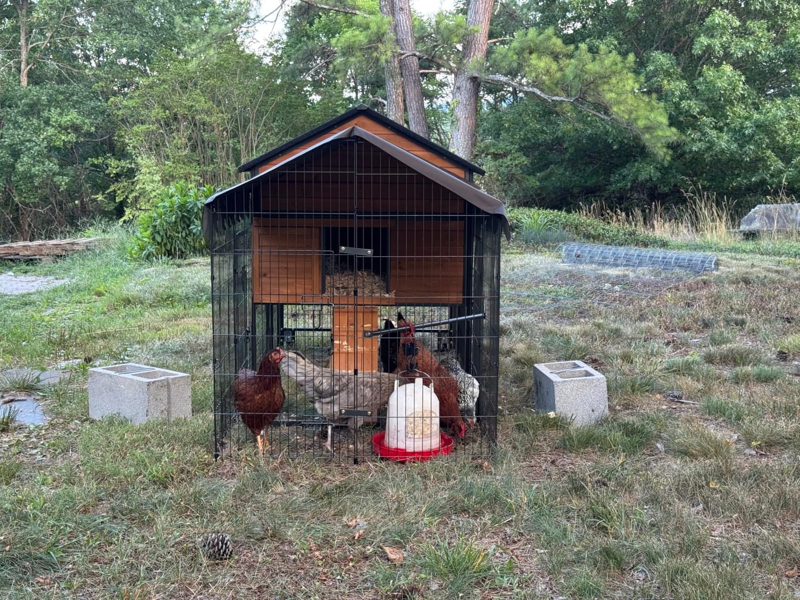 Wooden Chicken Coop, Large Chicken Tractor with Wheels, Weatherproof Hen House with Nest Box and Removable Tray, Mobile Poultry Hutch for 2-4 Chickens, Rabbits & Ducks (Brown) customer photo 1