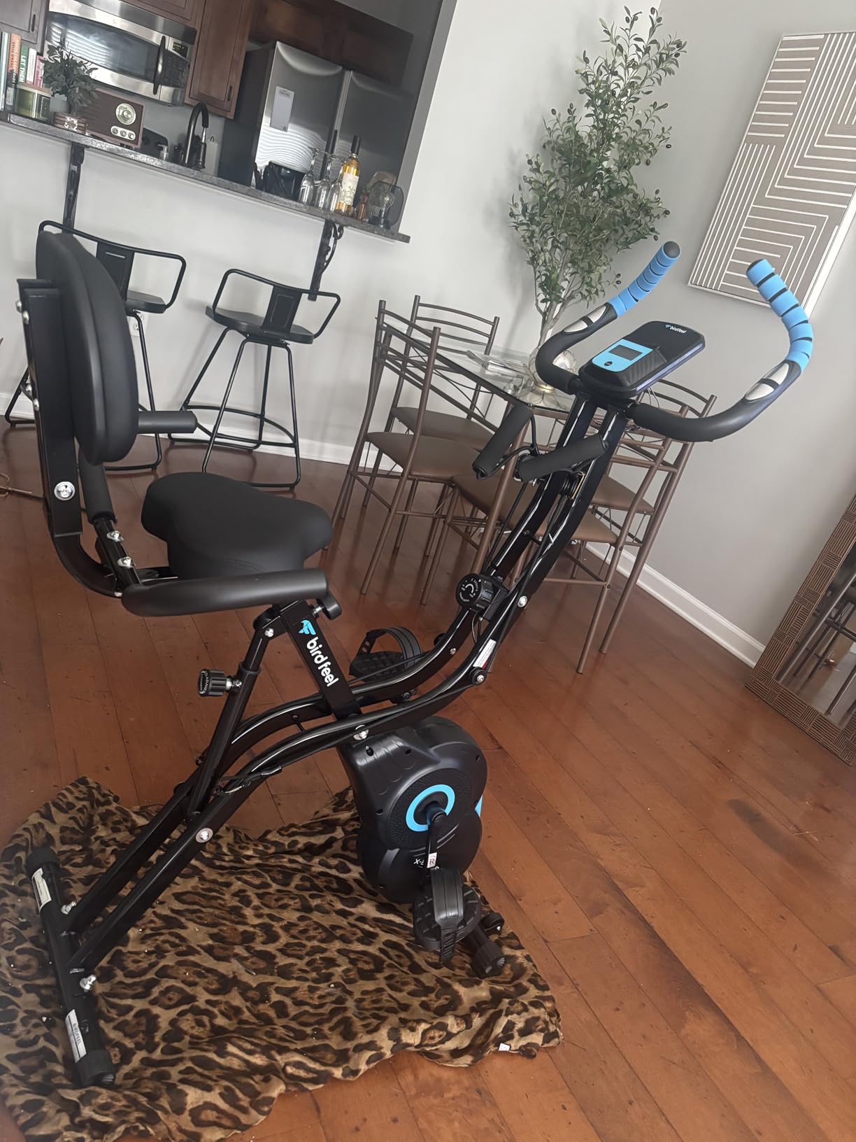 Foldable Exercise Bike, 8-Level Magnetic Stationary Bike for Home Gym | Quiet indoor workout bike with arm resistance bands, LCD monitor, and 300 lbs capacity for full-body cardio training customer photo 1