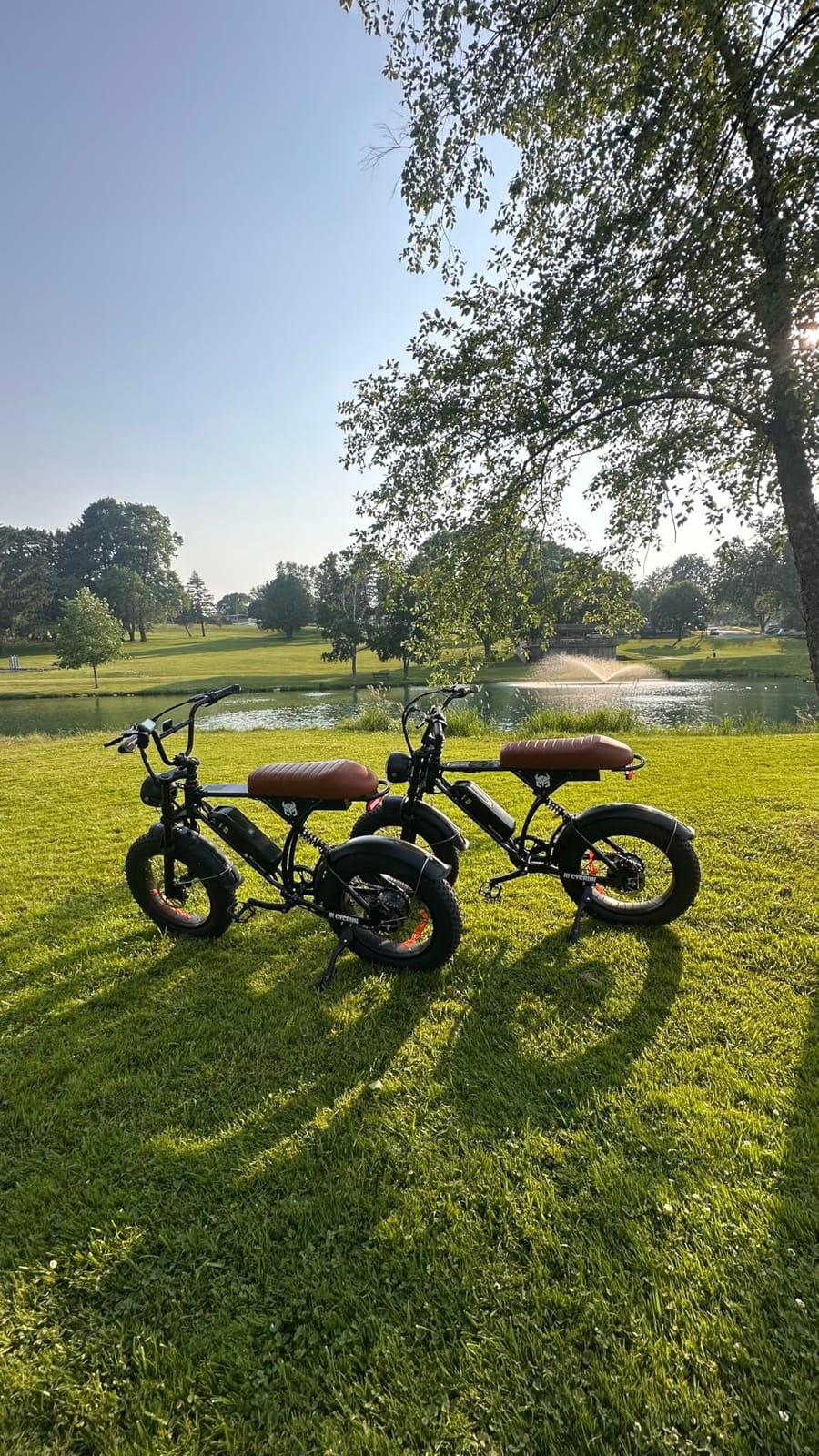 CYCROWN RunMini Moped-Style Electric Bike for Adults, 16