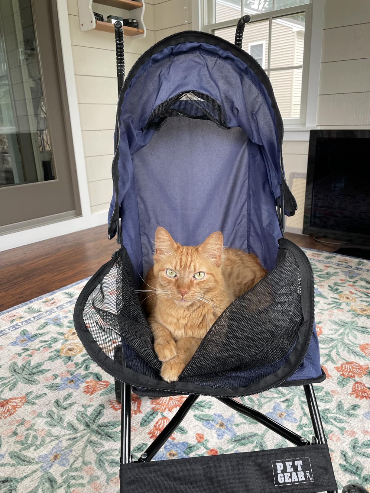 Pet Gear Travel Lite Plus Stroller, Coral | For Cats and Dogs up to 15 Pounds, Compact Easy Fold, No Assembly Required, Large Wheels customer photo 2