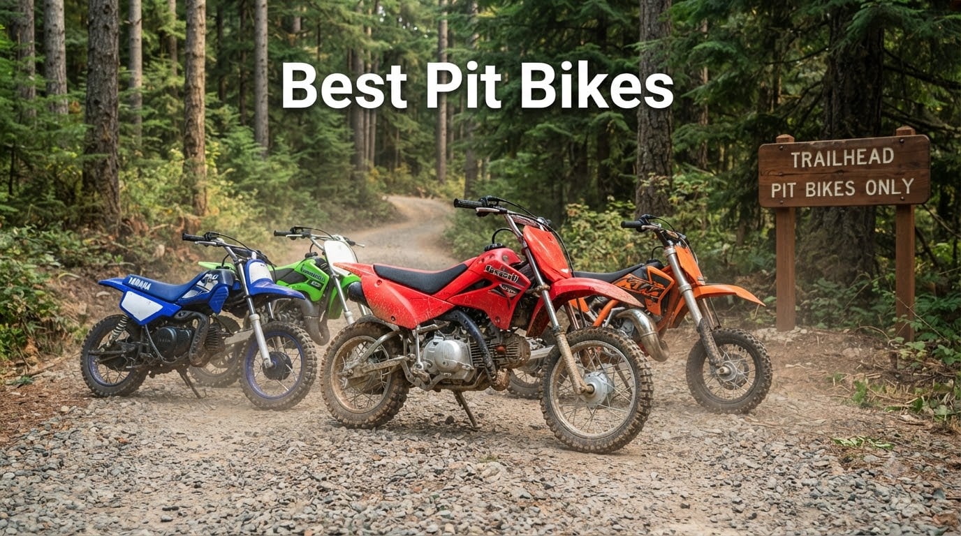 Best Pit Bikes