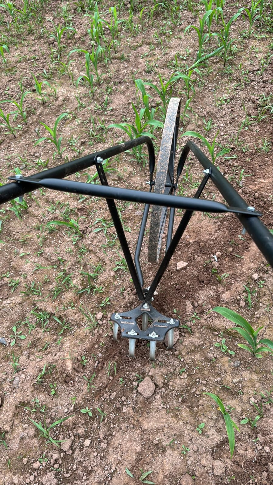 EarthWay 6500 High Wheel Tubular High Wheel Cultivator with Comfort Handle with 3- Position Adjustable, Quick Change Implements, and 24 Inch Steel Wheel customer photo 1