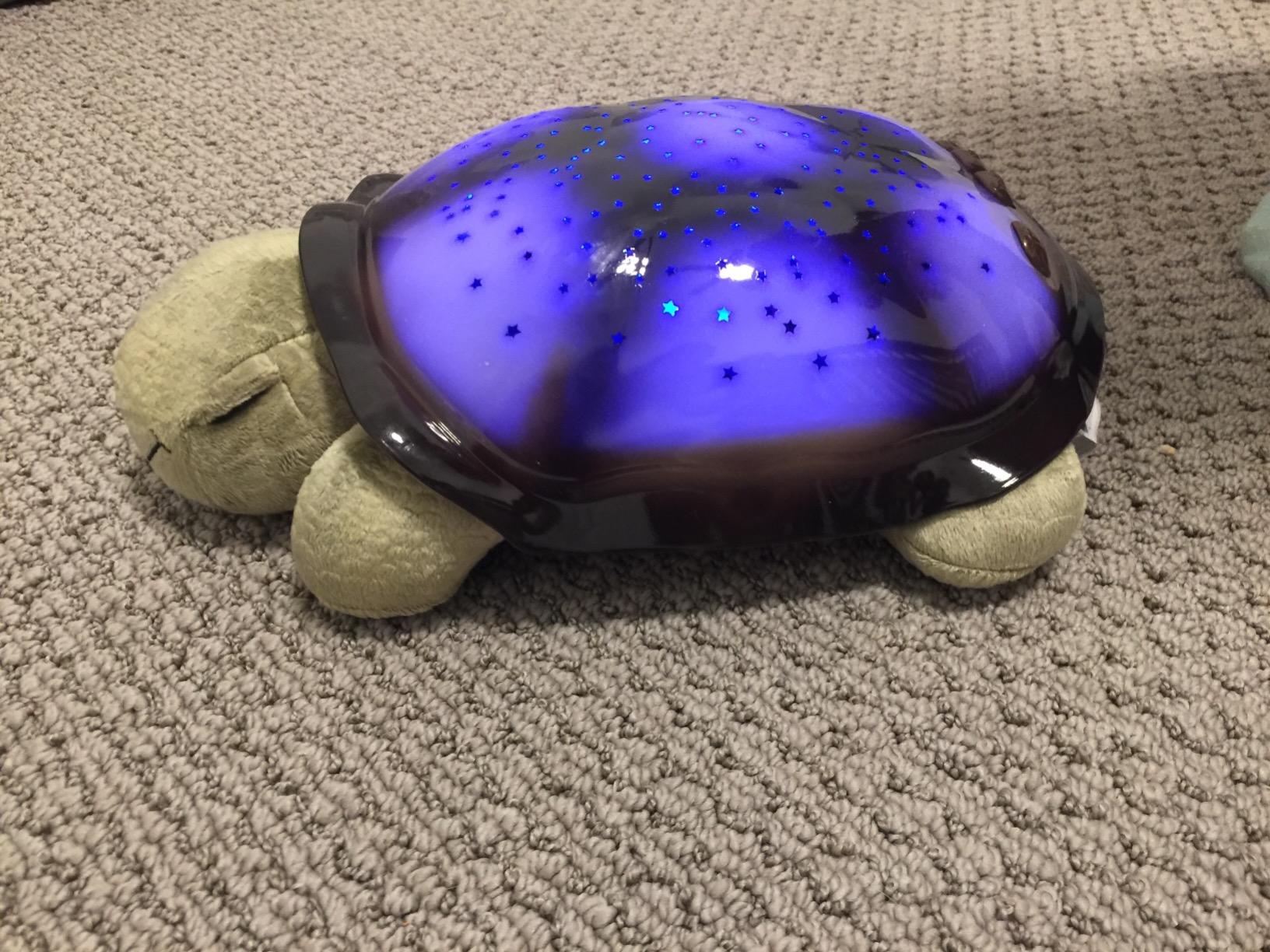 Cloud b Calming Nightlight Star Projector | Gentle Brightness | 3 Colors | 8 Constellations | Auto-Shutoff | Twilight Turtle Green customer photo 2