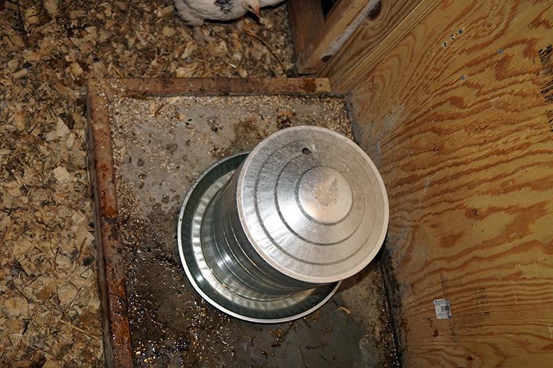 Little Giant® Double Wall Metal Poultry Fount | Poultry Waterer | Heavy Duty Galvanized Steel Waterer | Made in USA (Silver, 3 Gallon) customer photo 2
