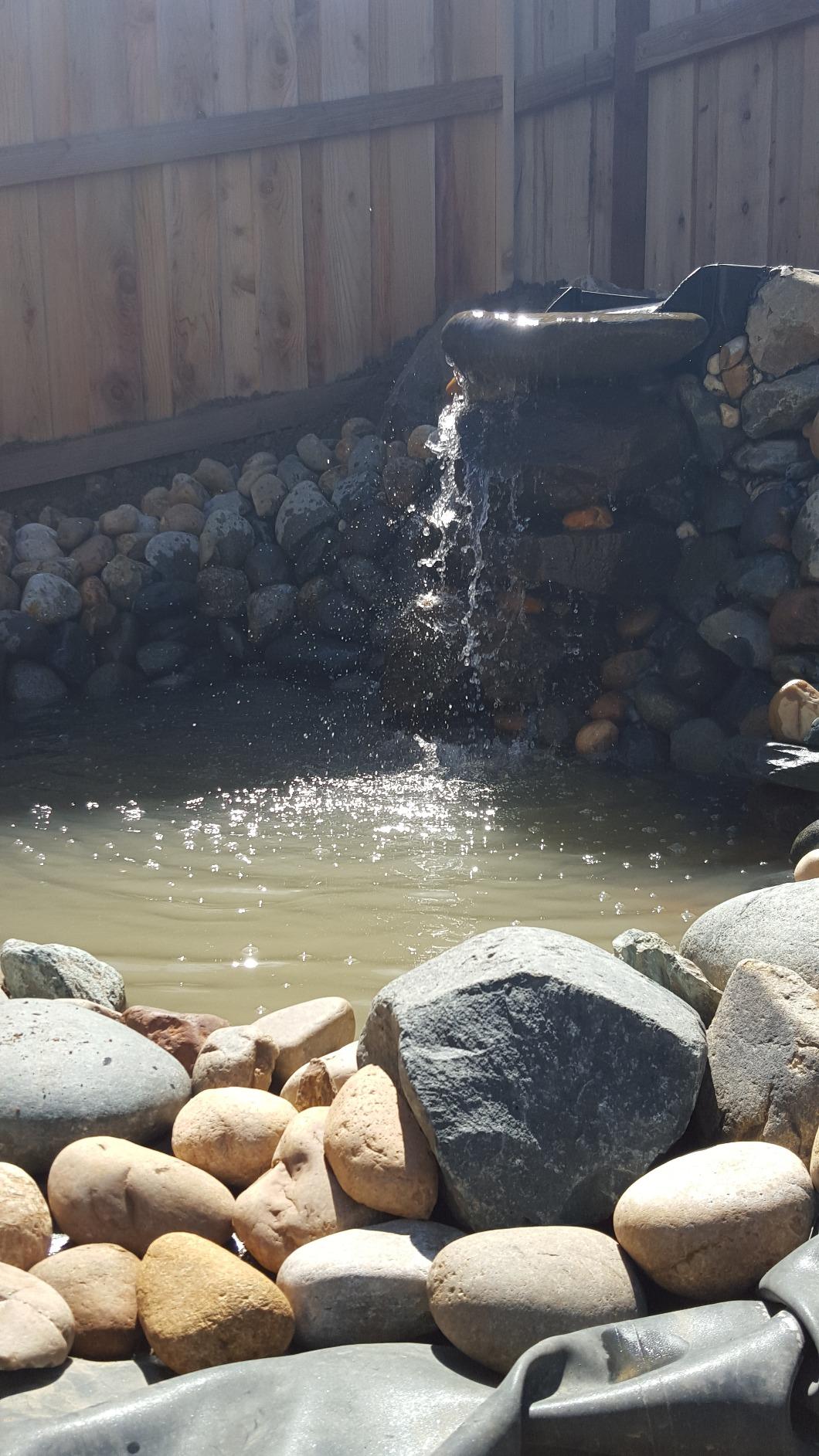 Aquascape DIY Backyard Pond Kit 8 x 11 feet – Complete Water Garden Ecosystem with Pump, Skimmer, and Filter, 99765 customer photo 1