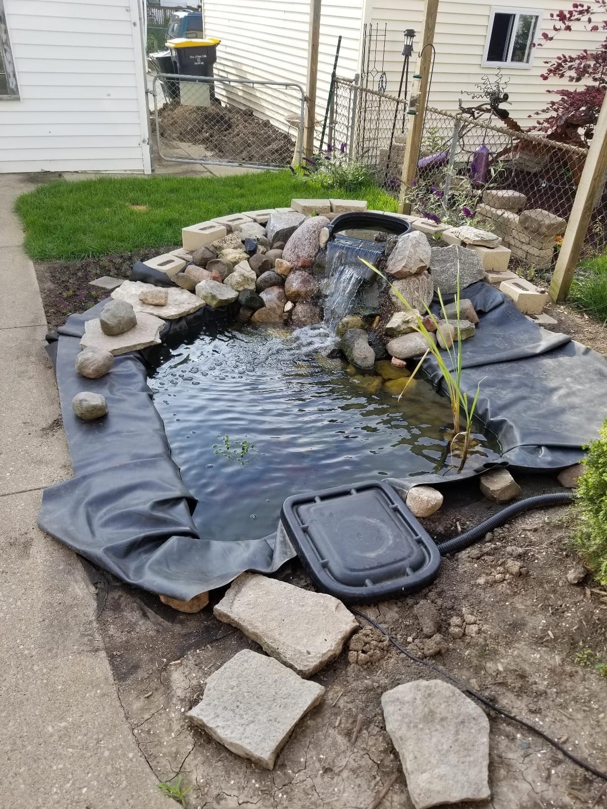 Aquascape DIY Backyard Pond Kit 8 x 11 feet – Complete Water Garden Ecosystem with Pump, Skimmer, and Filter, 99765 customer photo 2
