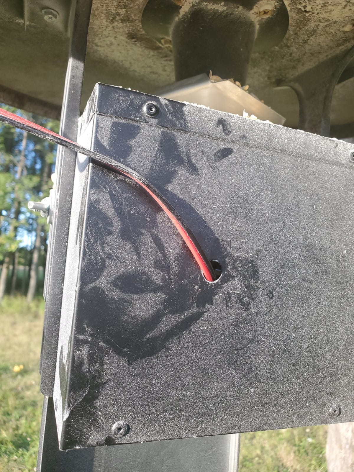 WILDGAME INNOVATIONS Trophy Hunter 6V Digital Feeder Kit customer photo 1