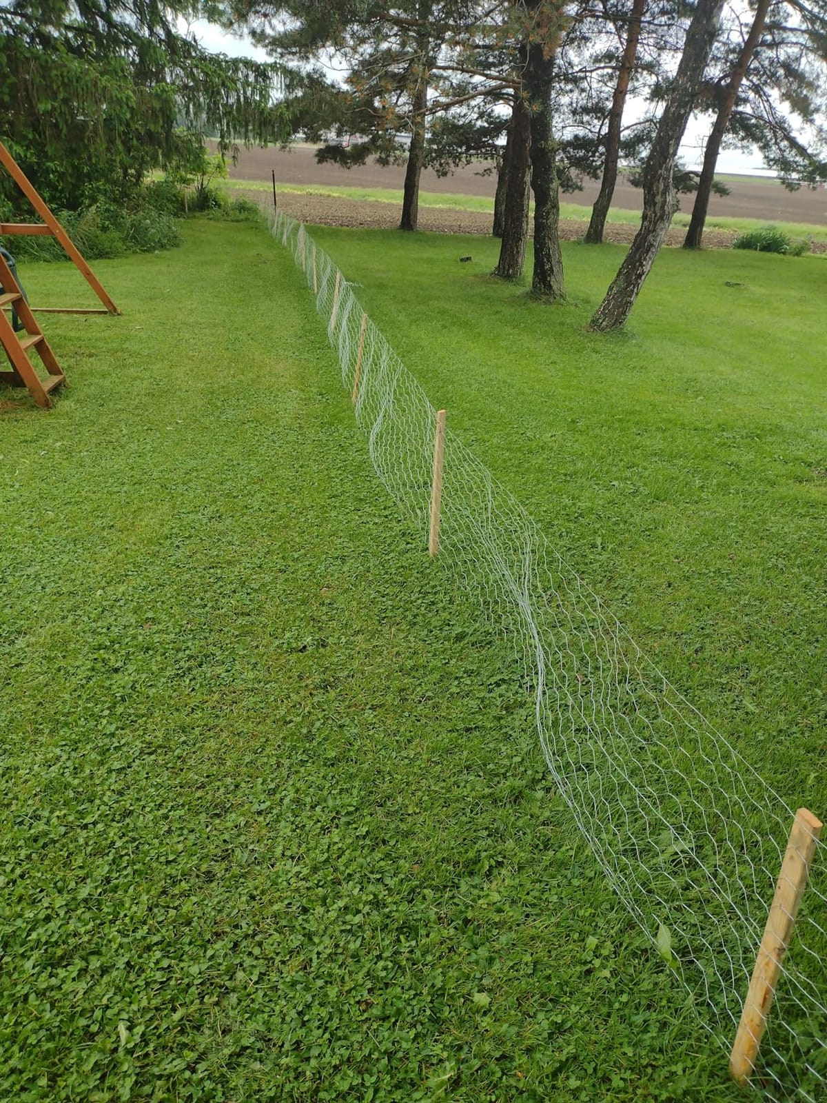 YARDGARD 2 Inch Poultry Netting, Chicken Wire Fence, 20 Gauge Galvanized Steel, Rabbit Fencing, Bird Enclosures, Garden Protection and Plant Support, 24 Inches x 150 Feet Legacy customer photo 1