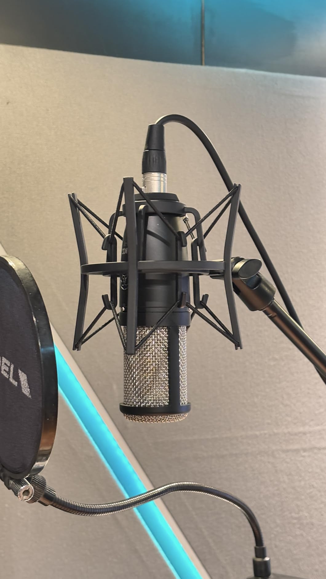 AKG Pro Audio P420 Multi-Pattern Condenser Microphone with Shock Mount and Case. Great for ensemble recording, grand piano, woodwind, brass instruments, drums and percussion. Black and Gold. customer photo 2