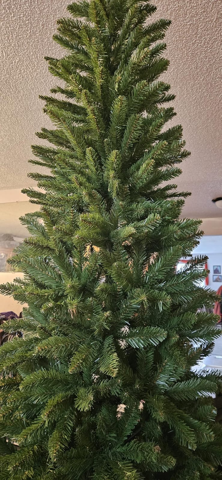 National Tree Company 7ft Unlit Kingswood Fir Slim Christmas Tree | 892 Tips, Includes Stand, Artificial, Green customer photo 2