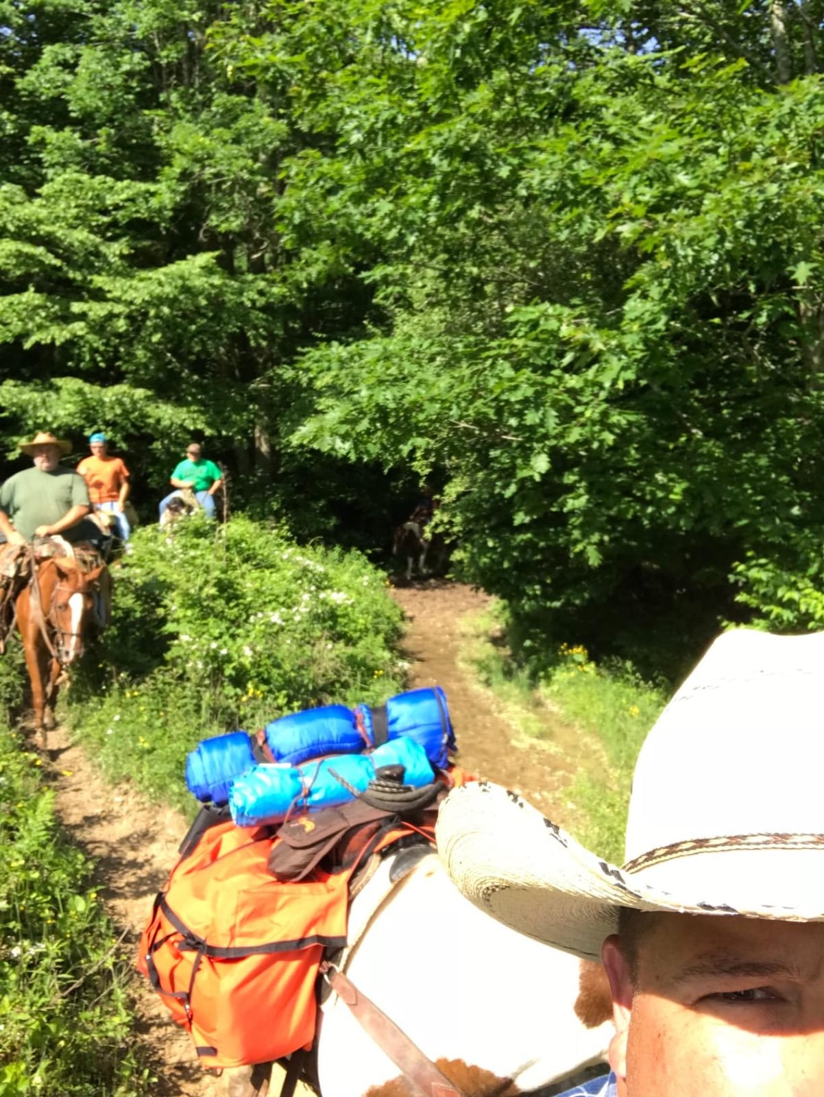 TrailMax Saddle Panniers for Horses - Heavy-Duty Over-the-Saddle Packing Bags customer photo 1