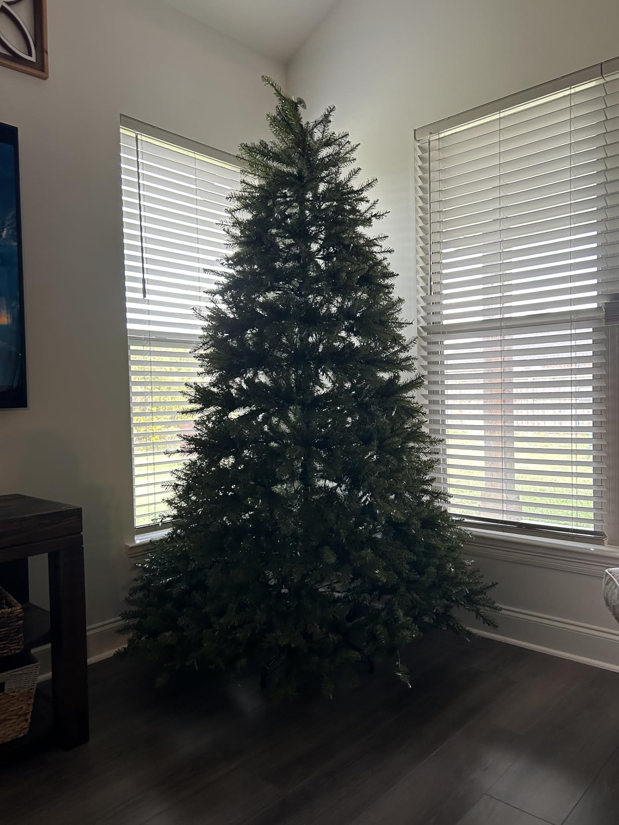 National Tree Company 12ft Pre-Lit Dunhill Fir Artificial Christmas Tree | 1,500 Clear Lights, 7,794 Tips, Includes Stand, Green customer photo 1