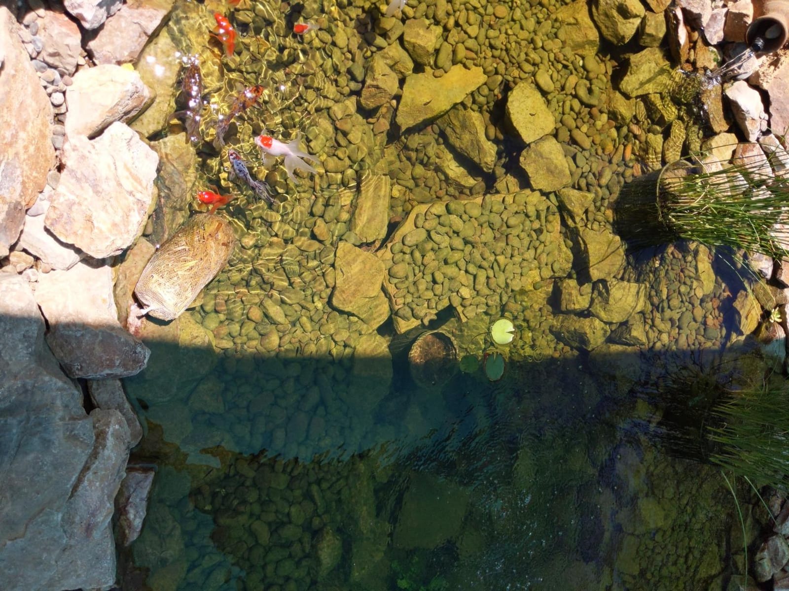 Tetra Pond UVC-18 GreenFree UV Clarifiers, Up To 4400 Gallons, 18-Watt, Green customer photo 1
