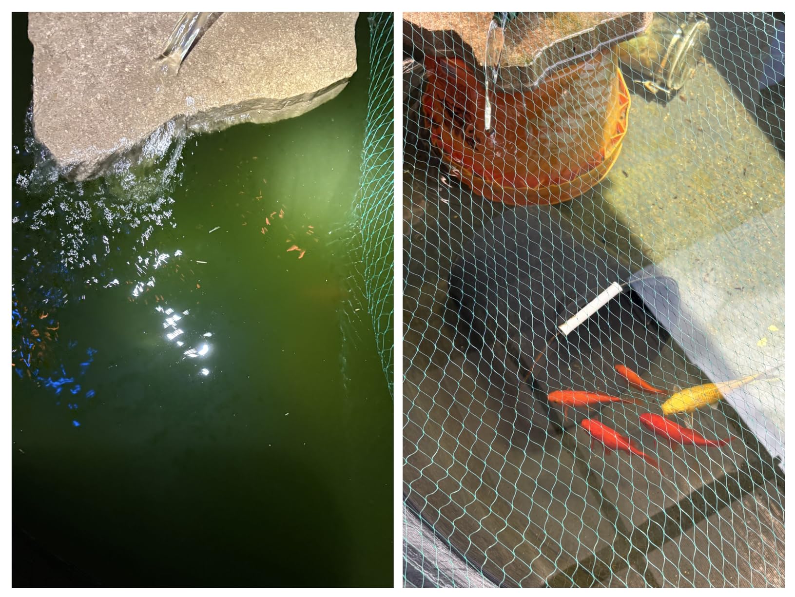 Tetra Pond GreenFree UV Clarifier UVC-5 for Clean & Clear Ponds customer photo 2