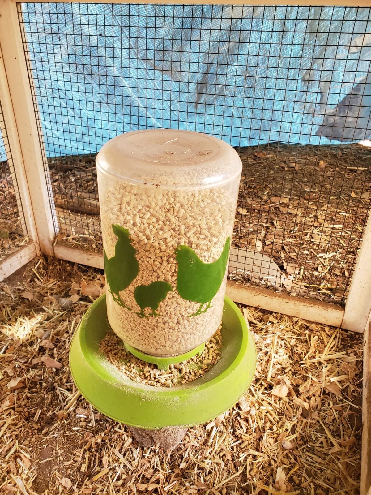 Lixit Feeder or Waterer for Chickens and Other Wildlife (64oz) customer photo 2