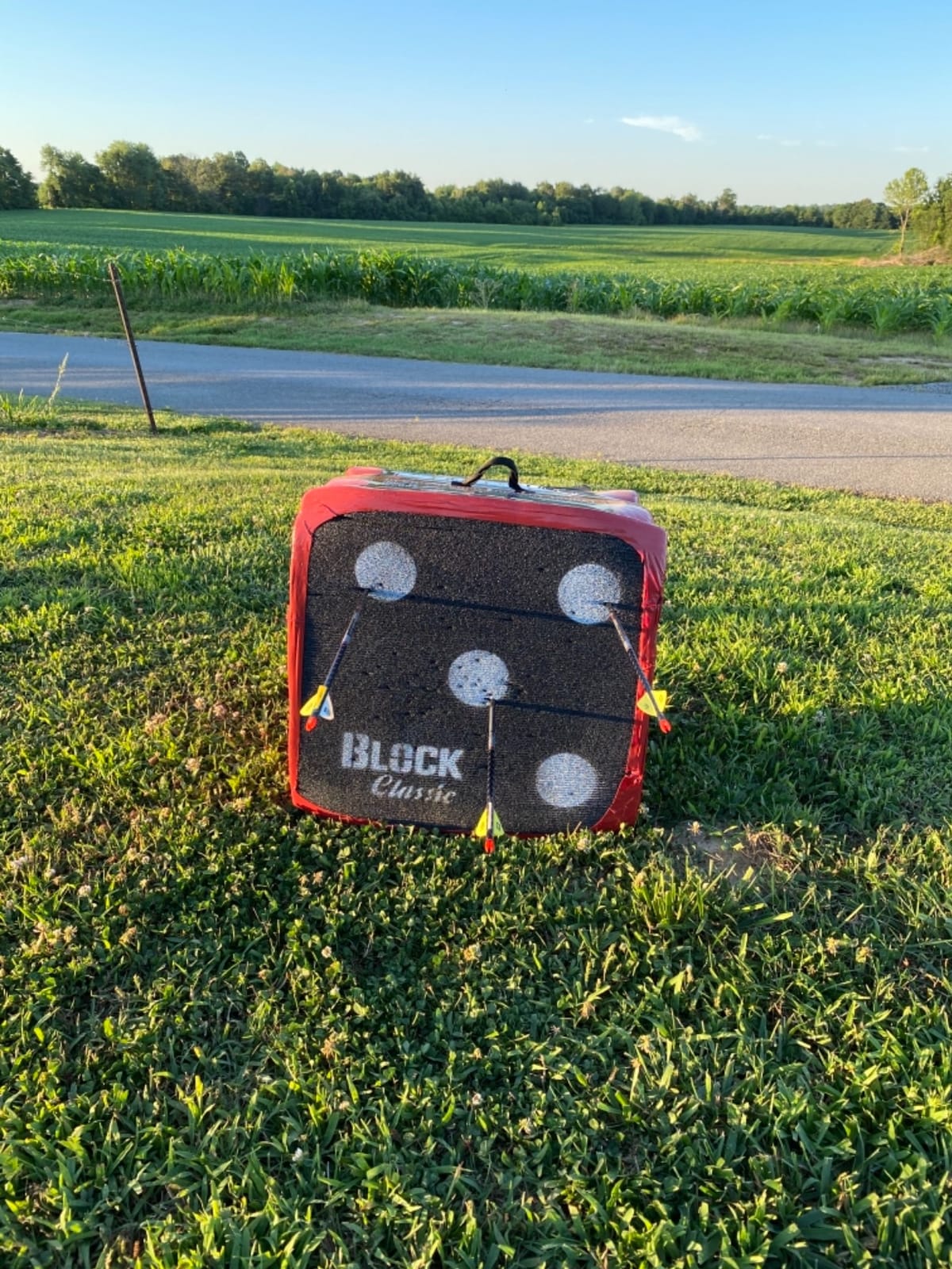 BLOCK Classic Layered Foam Archery Target, 18 x 18 x 13.5, 2-Sided Shooting, Unique Open Layer Design Stops Field Points and Broadheads with Friction Not Force, Easy Arrow Removal, Top Carry Handle customer photo 2