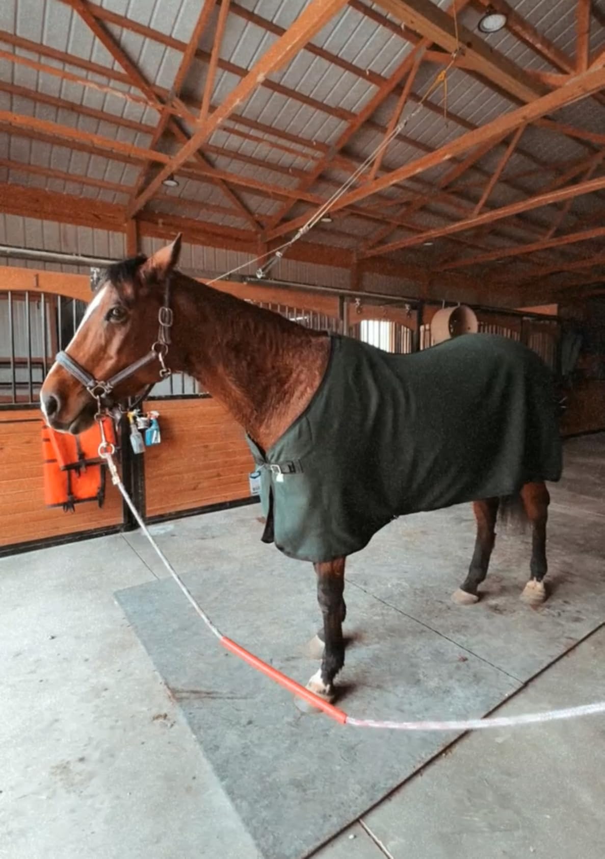 Tough 1 Soft Fleece Blanket Liner/Sheet customer photo 2
