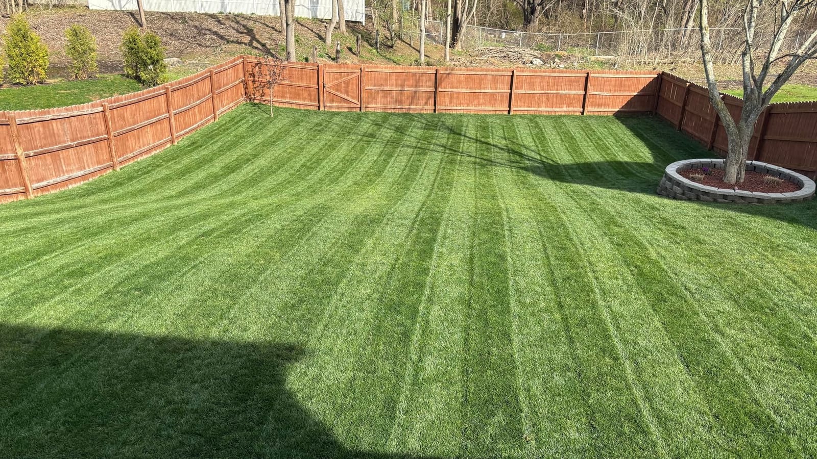 Toro Lawn Striping System customer photo 1