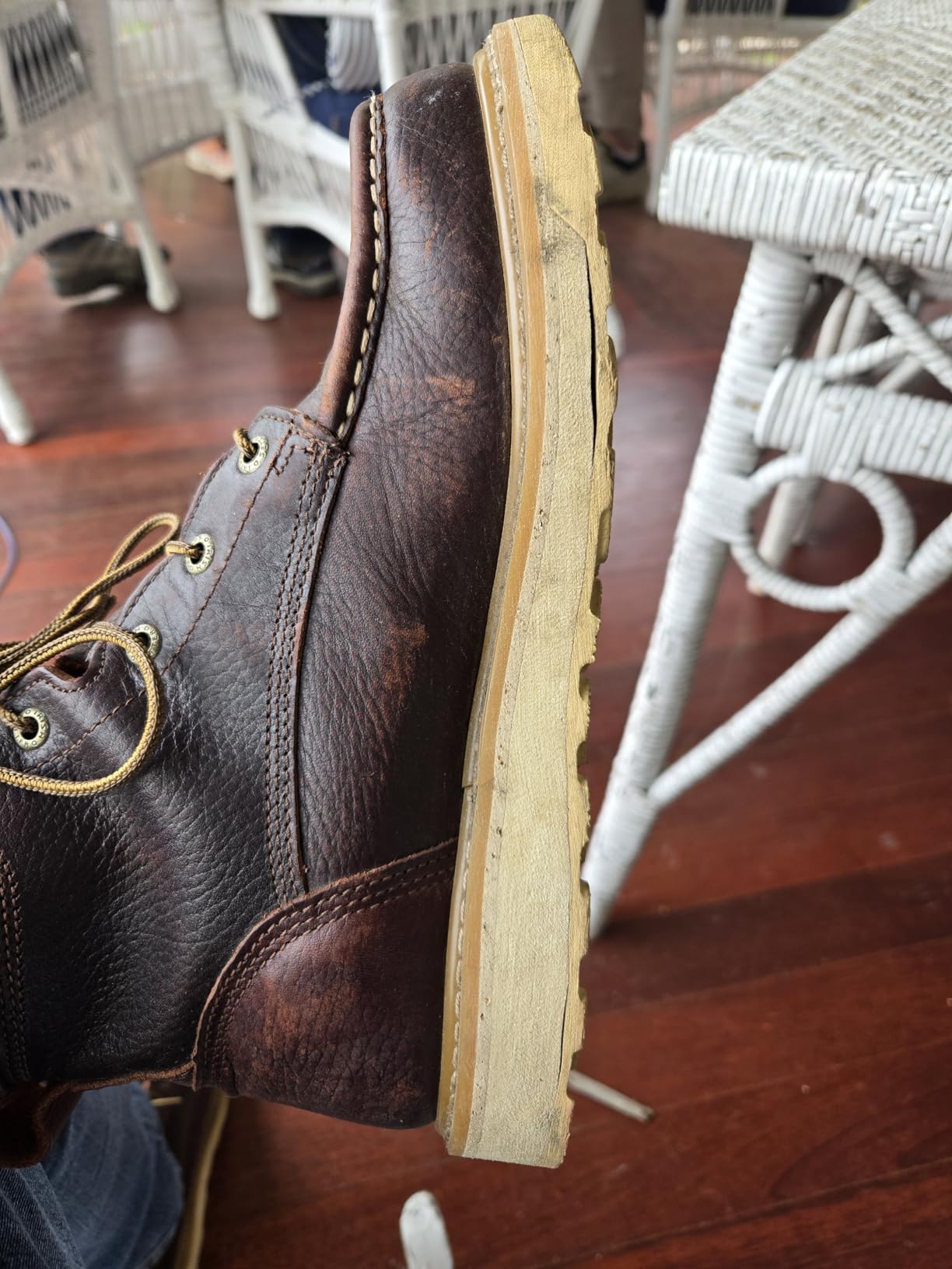 Irish Setter Ashby 6