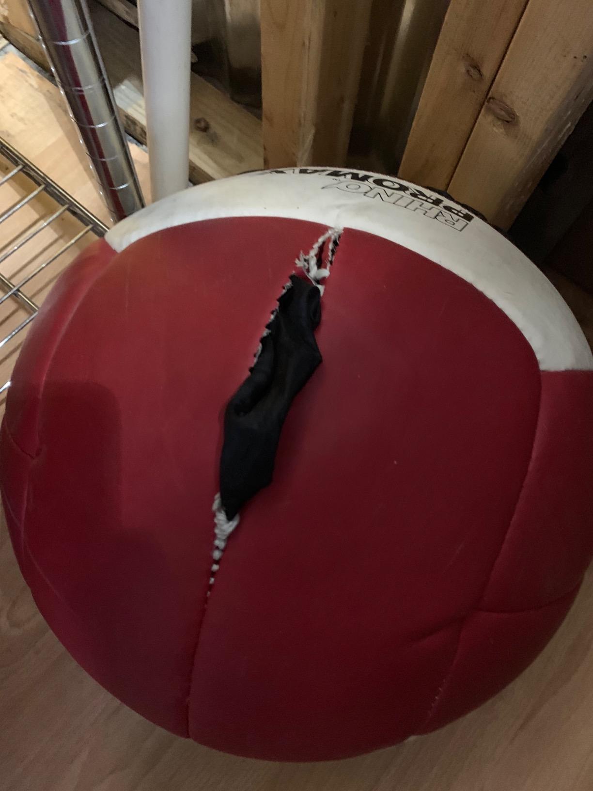 Champion Sports Rhino ProMax Elite Slam Ball customer photo 2