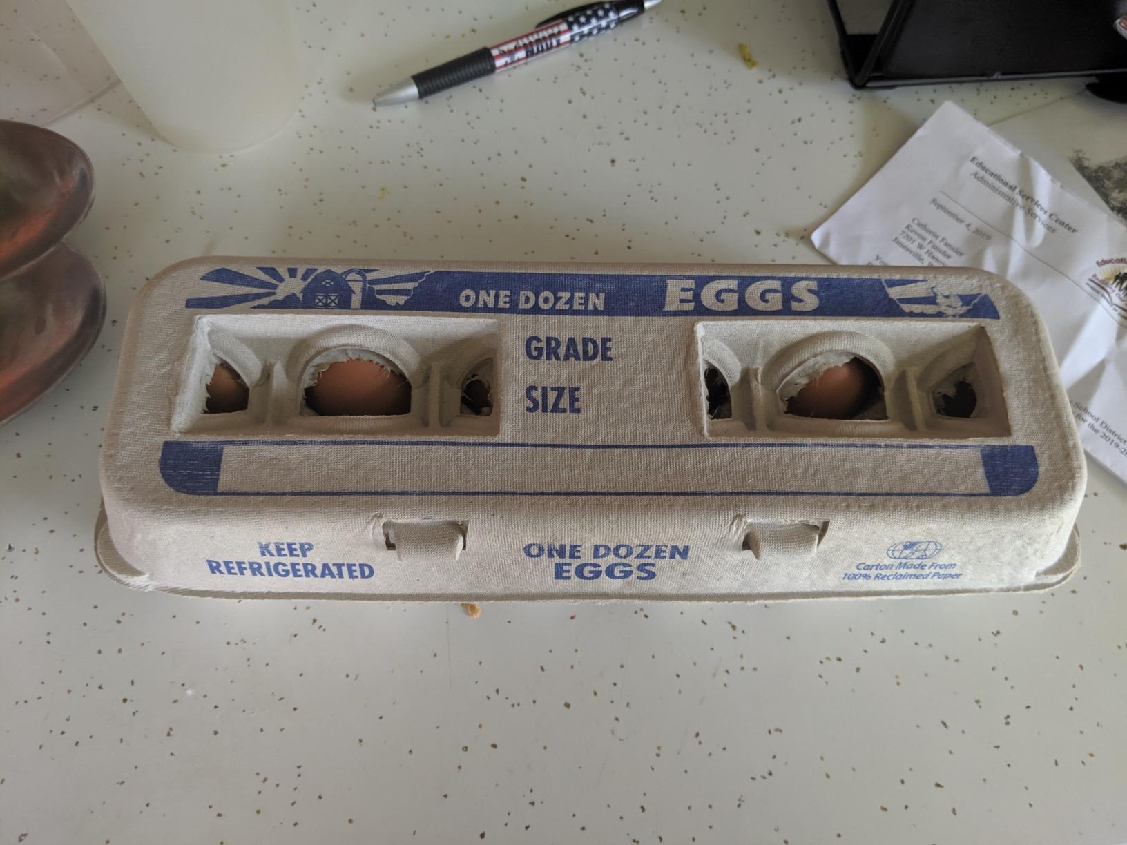 Egg Cartons – 250 Bulk Pack customer photo 2
