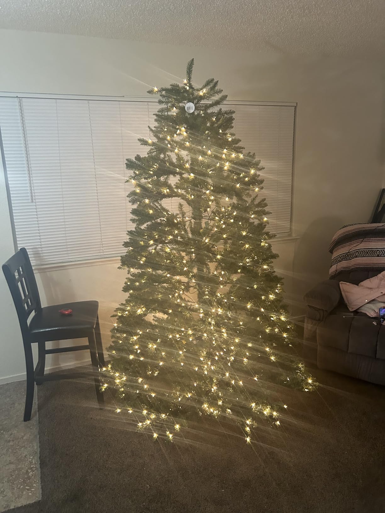 National Tree Company 9ft Pre-Lit Dunhill Fir Artificial Christmas Tree | 900 Clear Lights, 4,026 Tips, Includes Stand, Green customer photo 2